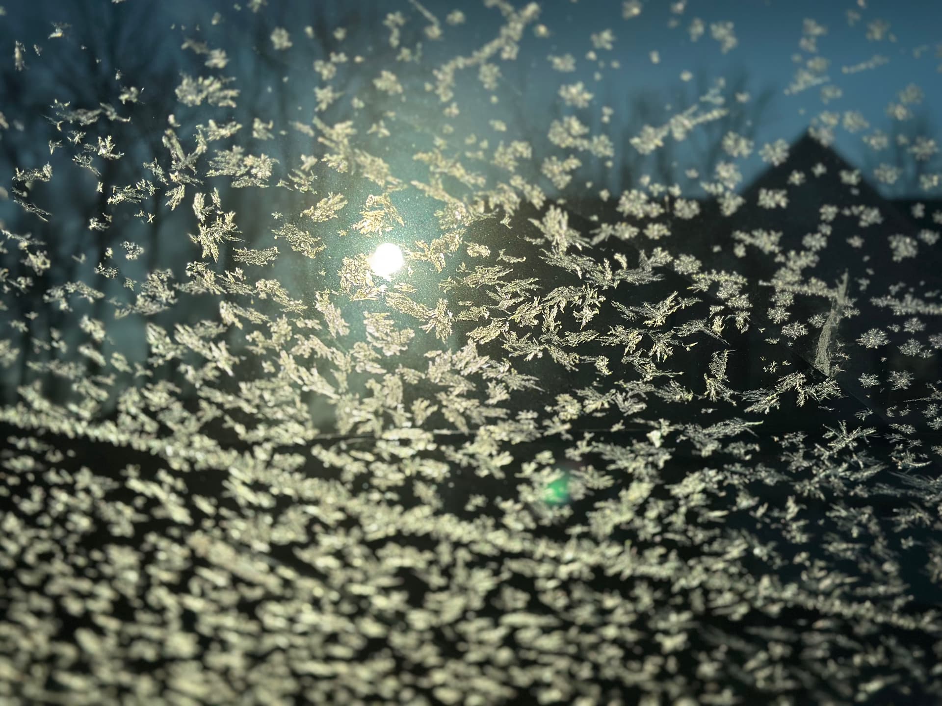 The Happiness Trap: Why Chasing It Makes You Miserable